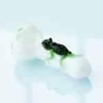 Gecko Glass Green Lizard Pipe Hand Blown Pipe - Image 13