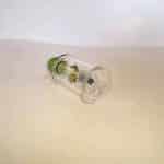 RUNAOT Glass Oil Burner Bubbler Double Tube - Image 7